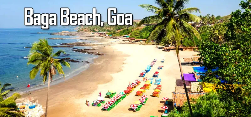 Goan Grandeur in Baga Beach, Goa - travelersguider.com