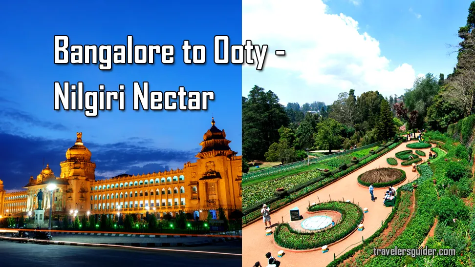 Bangalore to Ooty - Nilgiri Nectar
