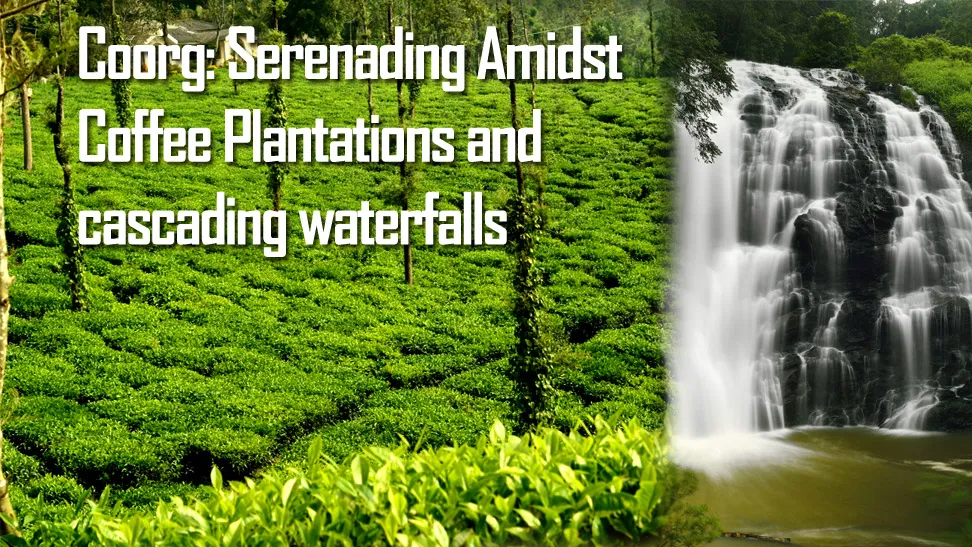 Coorg: Serenading Amidst Coffee Plantations - travelersguider.com