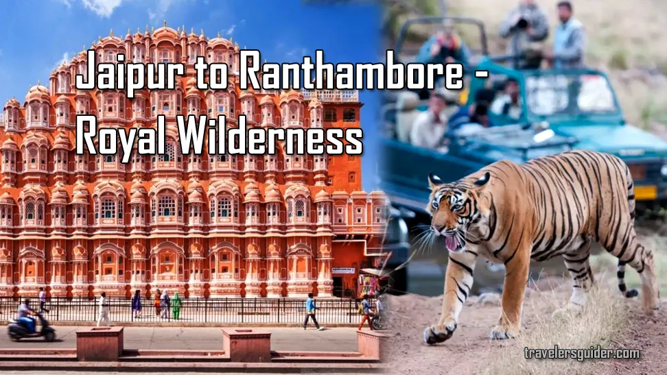 Jaipur to Ranthambore - Royal Wilderness