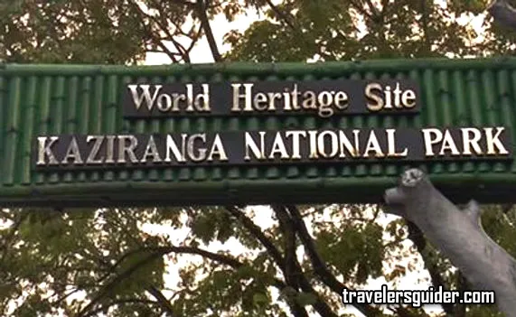 Kaziranga National Park