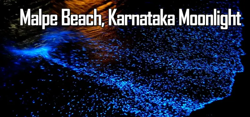 Moonlit Magic in Malpe Beach, Karnataka - travelersguider.com