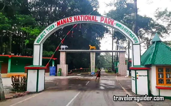 Manas Wildlife Sanctuary