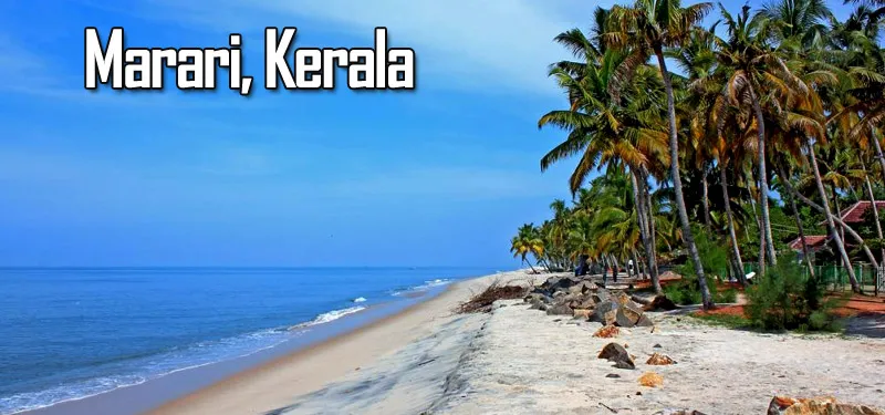 Coastal Tranquility in Marari, Kerala - travelersguider.com