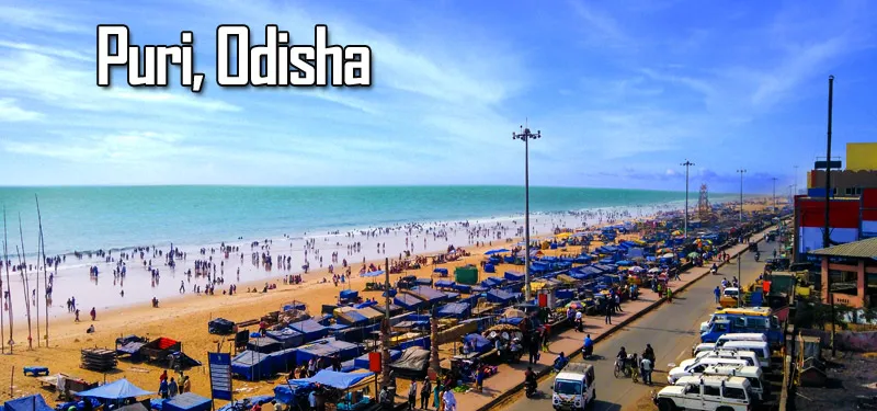 Marine Marvels of Puri, Odisha - travelersguider.com