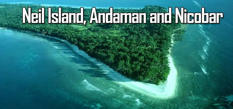 Coral Charisma in Neil Island, Andaman and Nicobar - travelersguider.com