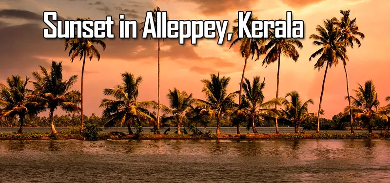 Sunset Extravaganza in Alleppey, Kerala - travelersguider.com