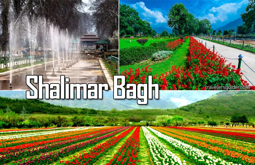 shalimar-bagh-travelersguider.com