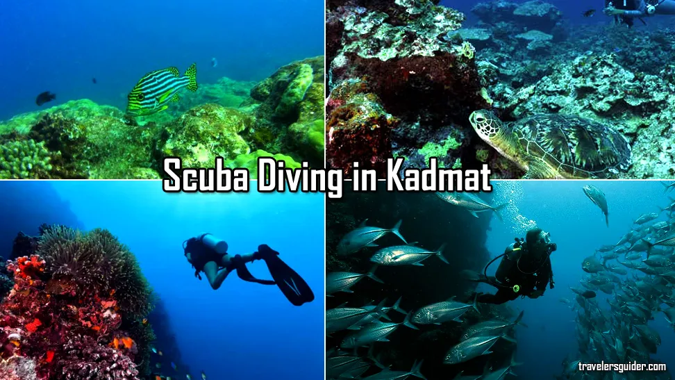 Scuba Diving in Kadmat