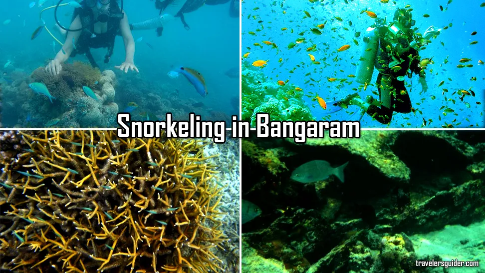 Top 10 Things To Do in Lakshadweep - Snorkeling in Bangaram